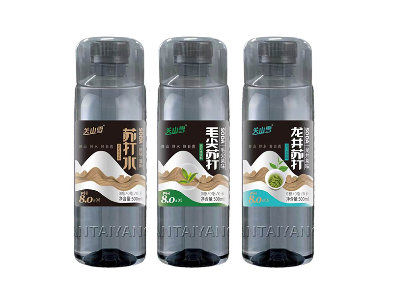 蘇打水500ml